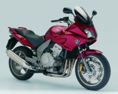 2008 Honda CBF 1000 photo